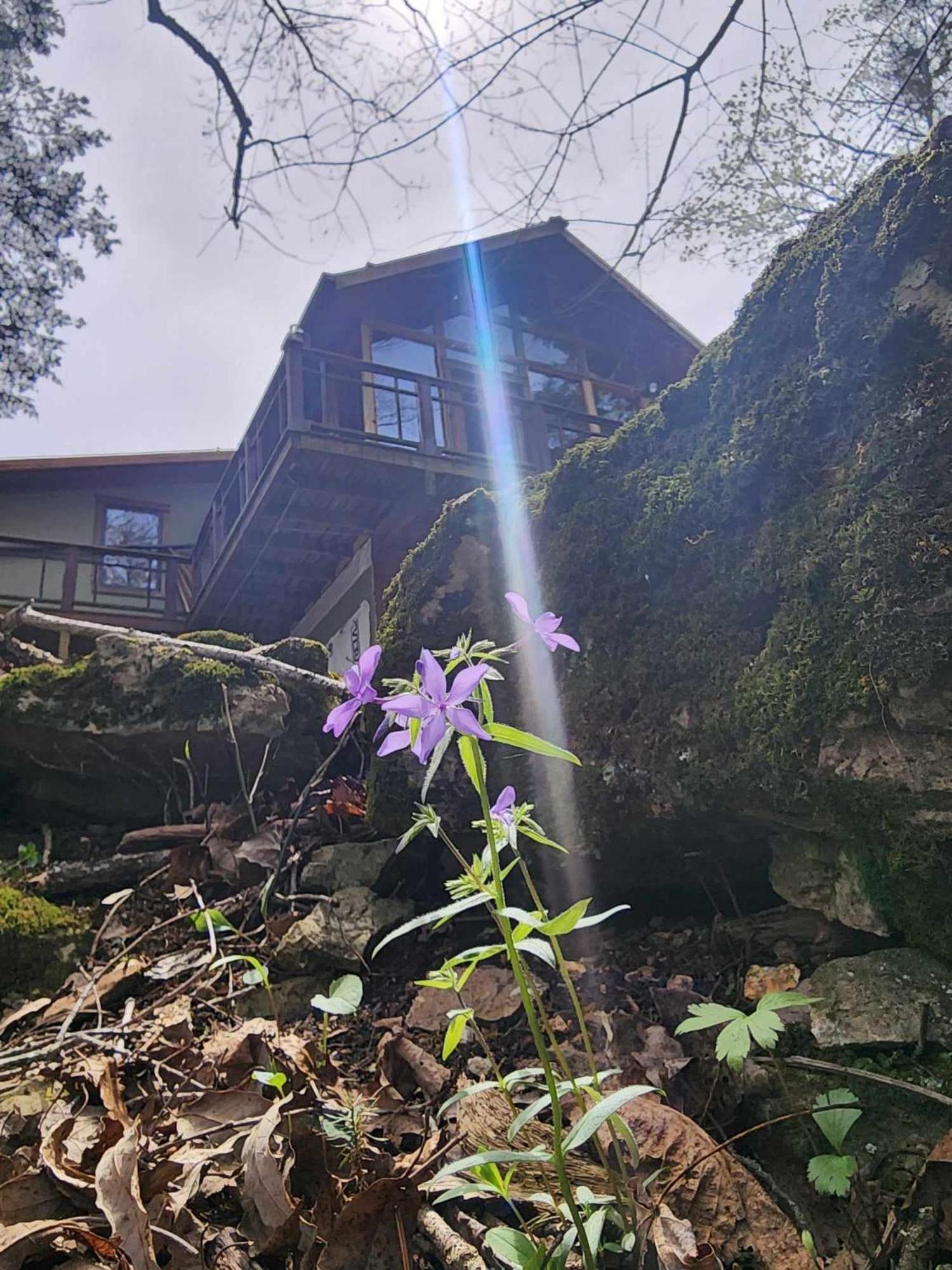7 Min To Downtown Eureka-Nature Retreat-Fire Pit Eureka Springs Exterior photo